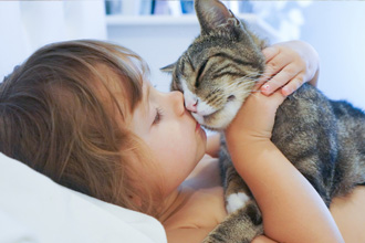 戯れる子猫と子供