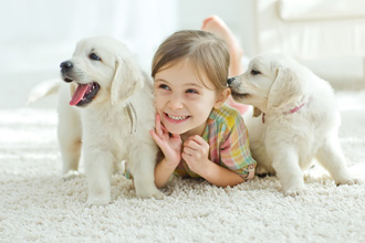 子供と二匹の子犬