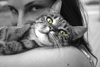女性に抱かれる猫