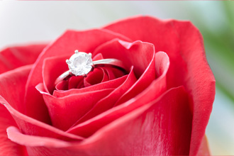 赤バラの花びらの真ん中にダイヤの指輪