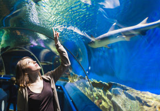 水族館で魚を見ている女性